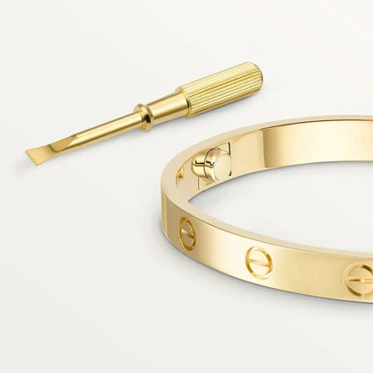 Amour Bracelet-Bracelets-Blizzm