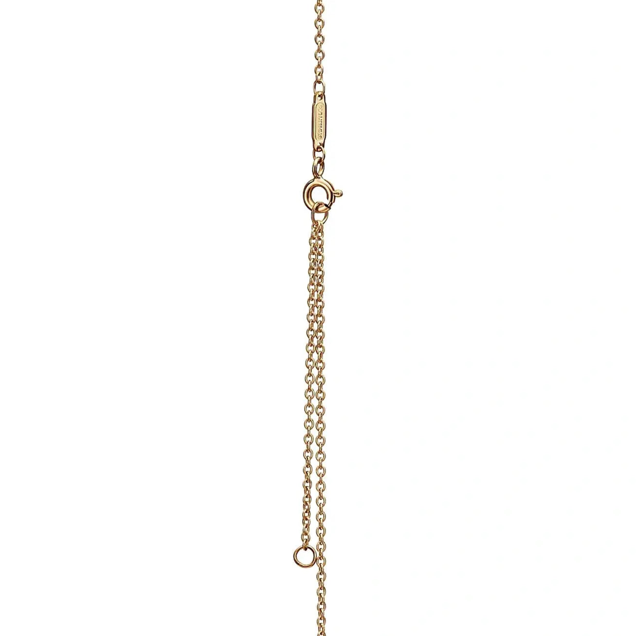 Aura Gilded Knot Necklace-Necklaces-Blizzm