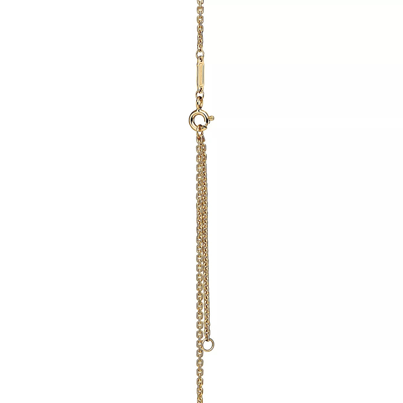 Auriel Double Link Pendant-Necklaces-Blizzm