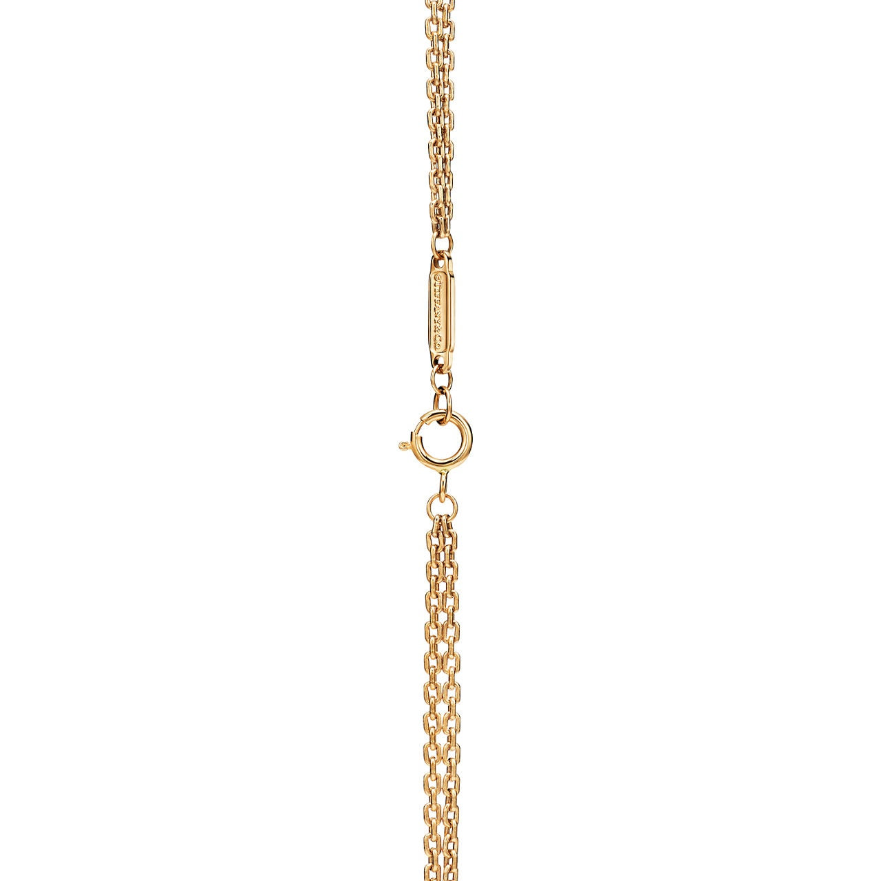 Bondi Double Link Pendant-Necklaces-Blizzm