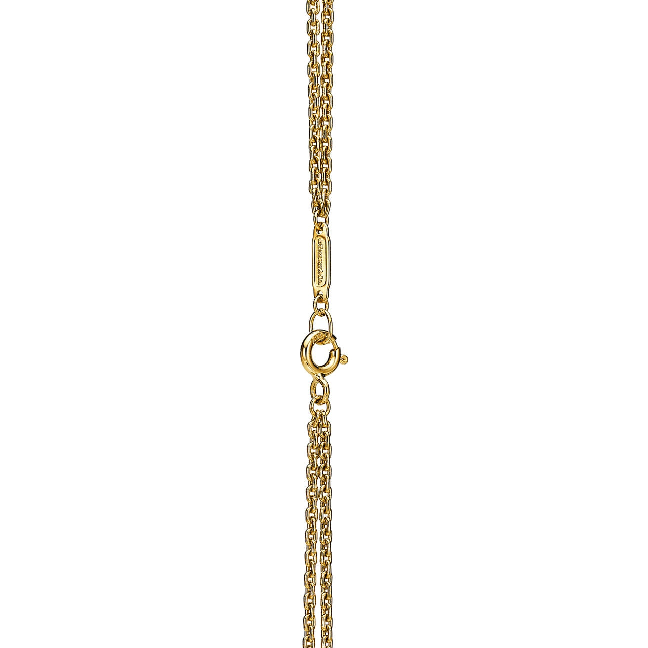 Eterna Link Necklace-Necklaces-Blizzm