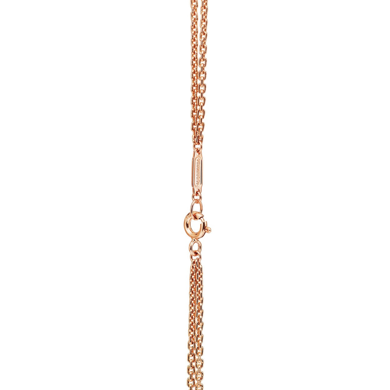 Eterna Link Necklace-Necklaces-Blizzm