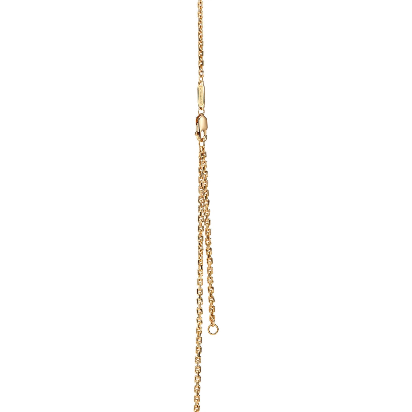 Liora Pearl Link Necklace-Necklaces-Blizzm