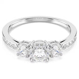 Princess Dual Shine Ring
