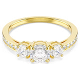 Princess Dual Shine Ring